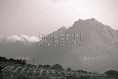 葡萄园上黑白相间的山峦