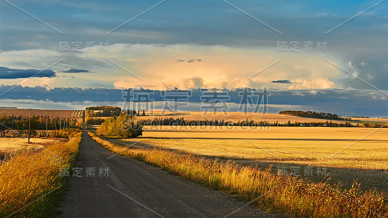 草原上的乡村道路和田野