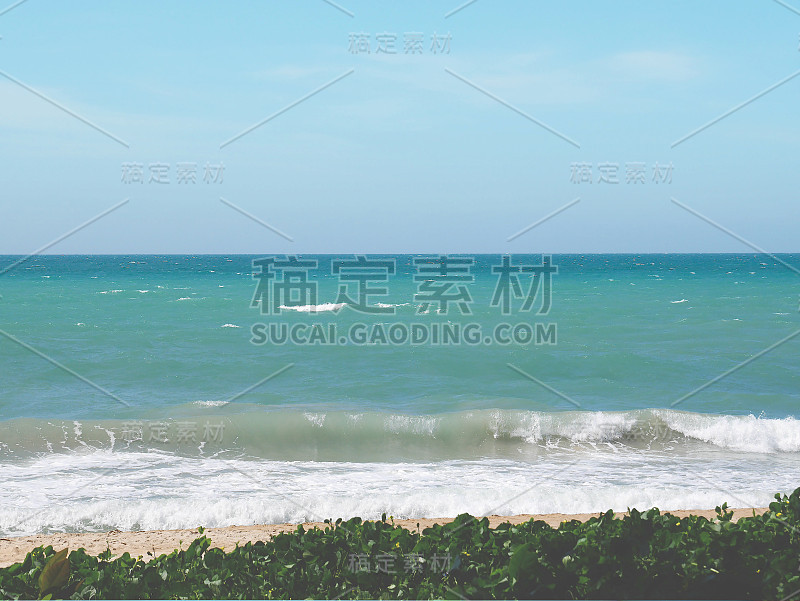 空旷的海岸线看到不同颜色的海水，白色的海浪，沙滩和山羊草在前景