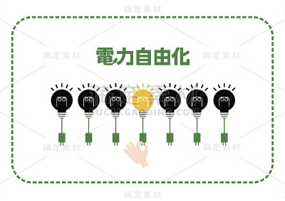 电力标志(电力零售自由化)