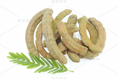 罗望子与叶在白色的背景