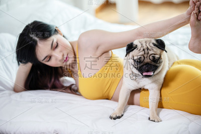 女人练习瑜伽与哈巴狗品种