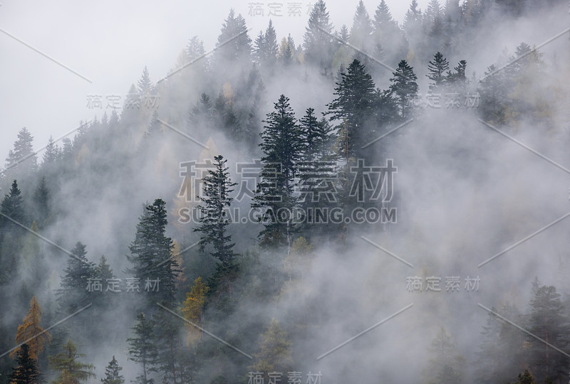 神秘多云，雾蒙蒙的秋季高山山坡景色。奥地利的利恩泽多洛米腾阿尔卑斯山。