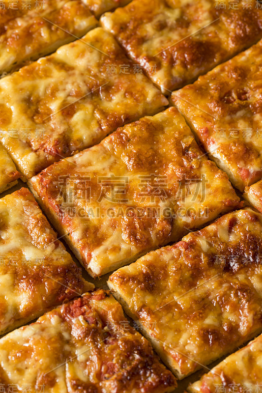 美味的自制奶酪披萨