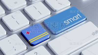 智能的概念