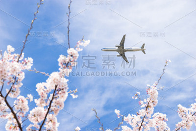 樱花与飞机