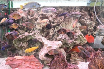 水族馆