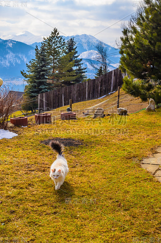 春天的山脉全景Zakopane，高塔特拉山脉，波兰