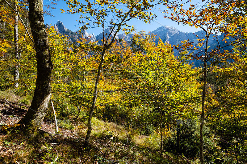 阳光灿烂的高山秋景。上奥地利阿尔姆西湖附近徒步旅行的宁静岩石山景。