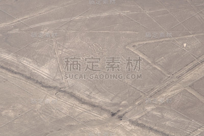 纳斯卡线条