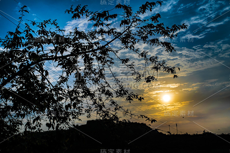 剪影日落景观场景