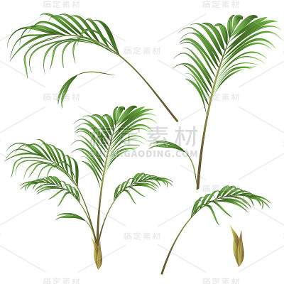 棕榈装饰屋植物和棕榈叶复古矢量插图可编辑
