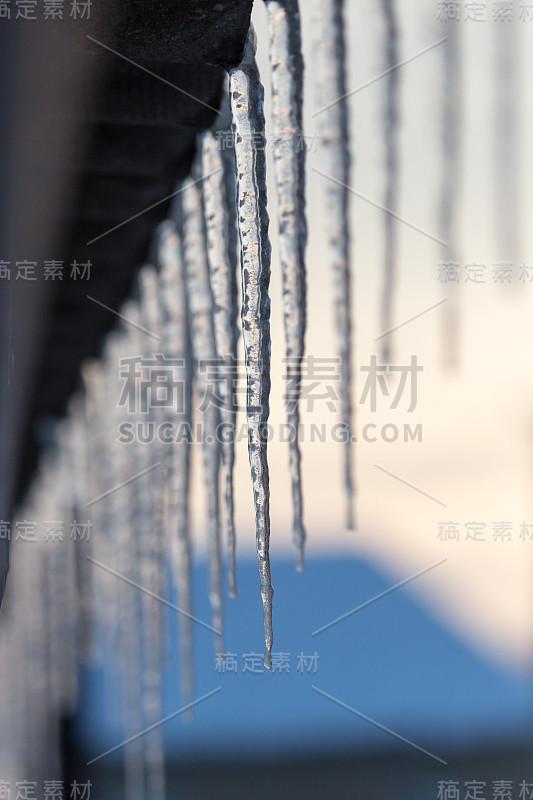 冬天的冰柱在黎明的阳光下