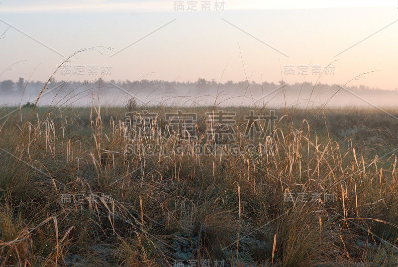 清晨，俄罗斯西伯利亚鄂木斯克地区