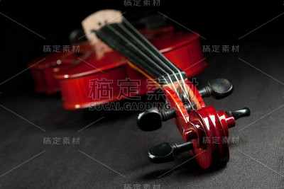 美丽的小提琴在黑暗的背景
