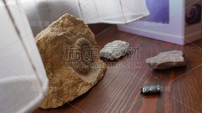 家居装饰