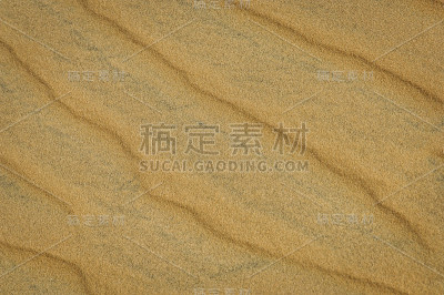 塞内加尔的沙丘沙漠。非洲。