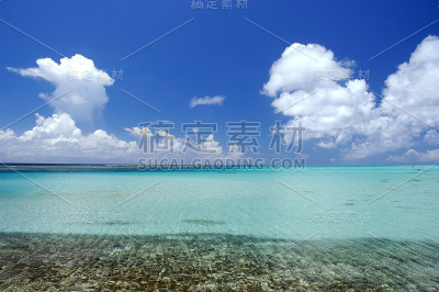 海