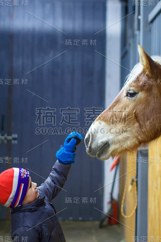 一个穿着冬衣的孩子在围场里抚摸着一匹马