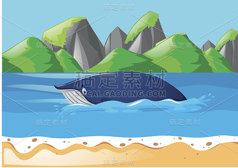 蓝鲸在海里游泳