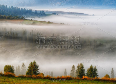 多雾的早晨