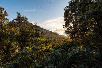 夕阳照在植被和皮克圣路(Occitanie，法国)上。
