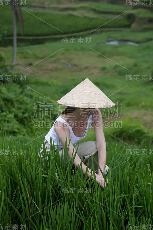 戴着传统竹帽的妇女站在稻田梯田上