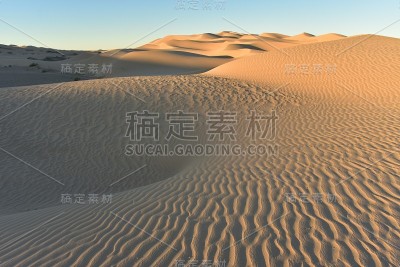 沙丘砂纹理金色晨光