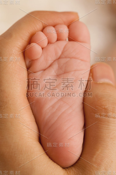 小婴儿的脚