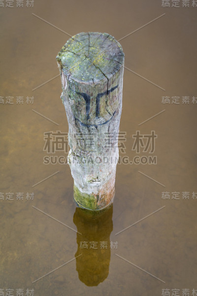孤立的极在浑水