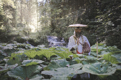 欧洲修根道和尚徒步旅行在奥地利山脉，奥地利，Ötscher