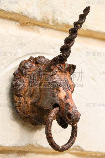 有戒指的生锈的老马头