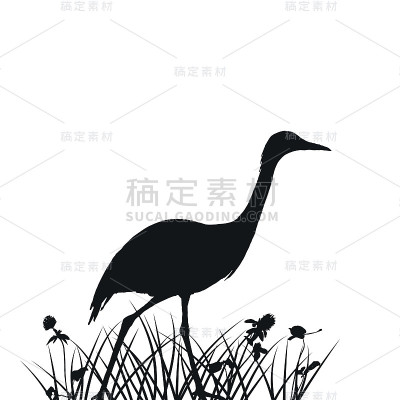 苍鹭在草的剪影