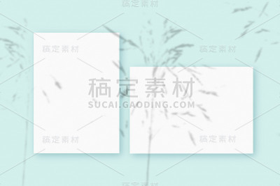 模型与植物阴影叠加在水平和垂直的纹理白纸上的蓝色桌子背景