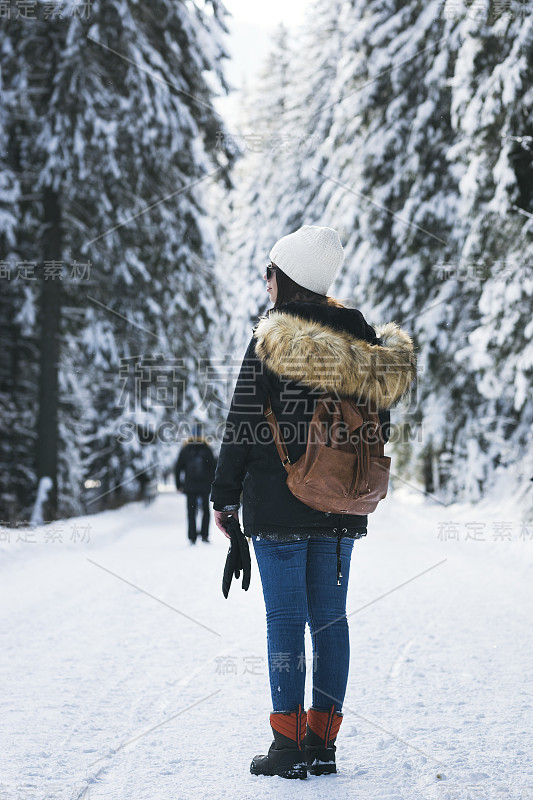 年轻的雌鸟回敬她，以一种下雪的方式望向左边