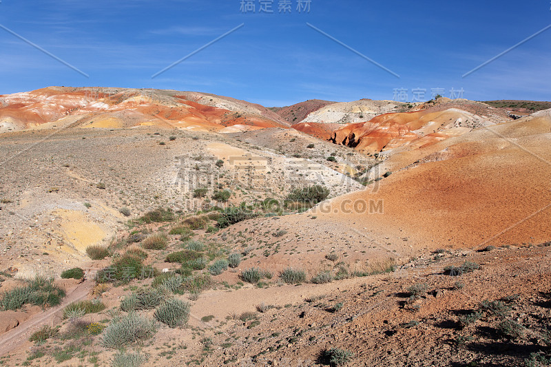 阿尔泰峡谷草原和岩石