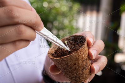 植物选择和探索植物育种新方法