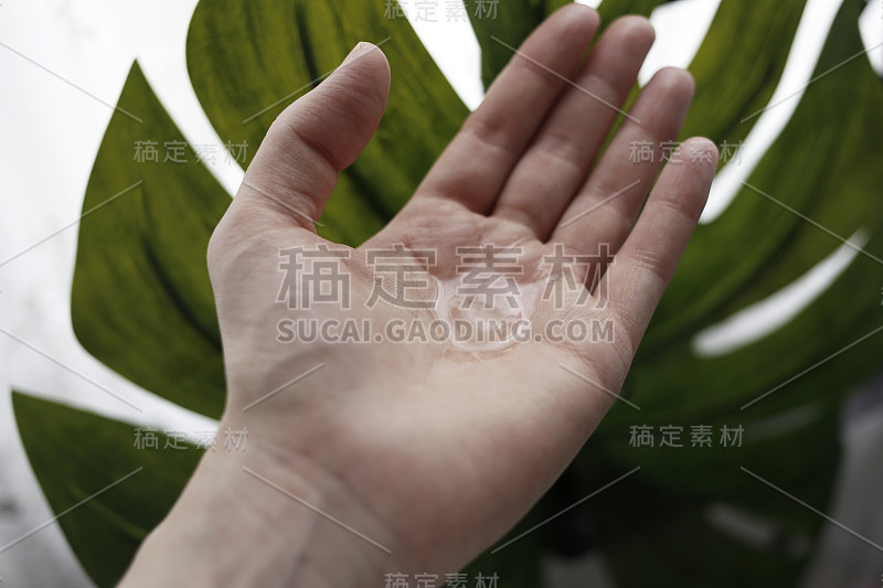 手清洁凝胶