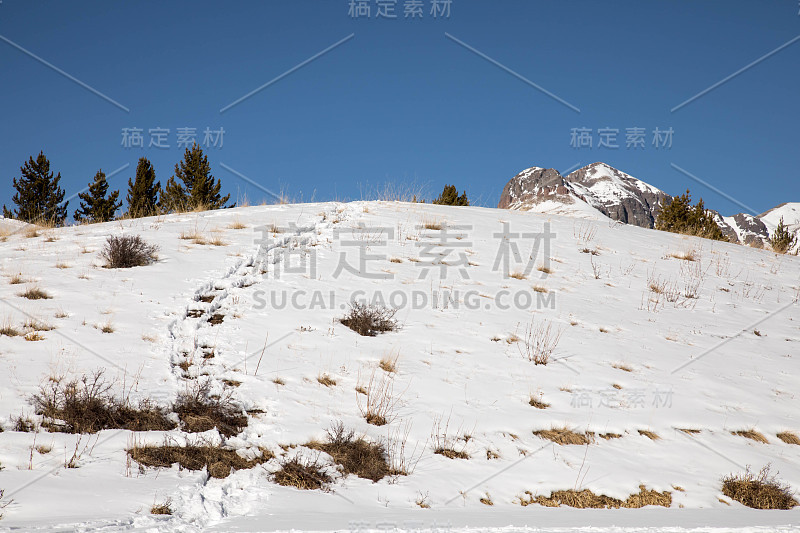 在科罗拉多州的一座雪山上留下脚印