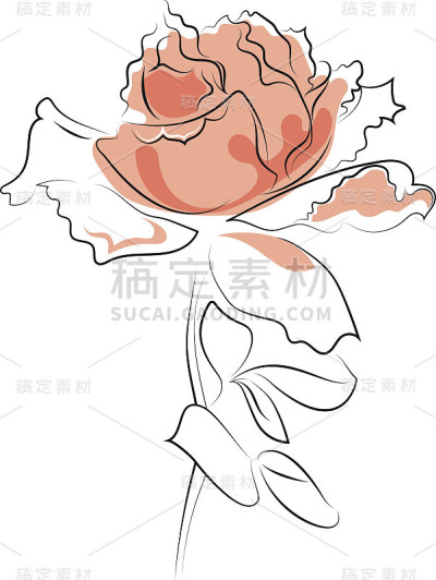 玫瑰