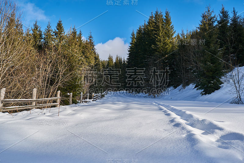 冬季景观从山上有冷杉林，雪和蓝天与白云