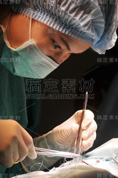 兽医在手术室