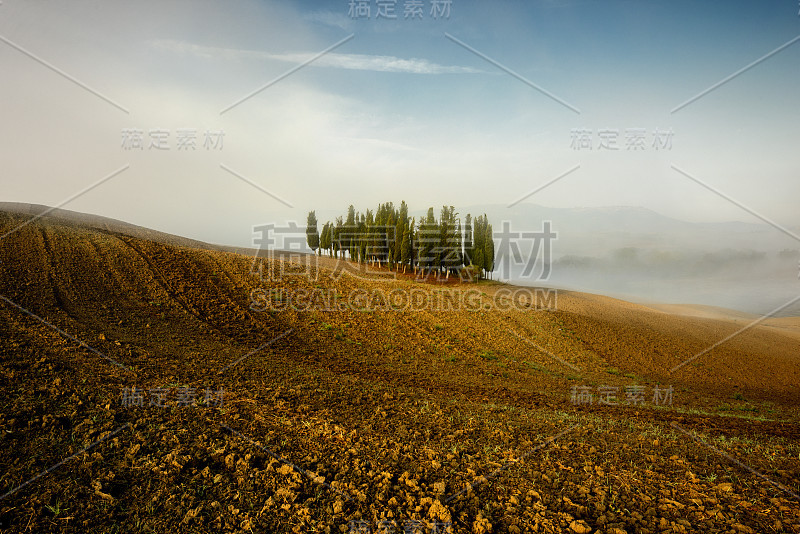 托斯卡纳-风景全景，山丘和草地，托斯卡纳-意大利