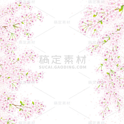 樱花