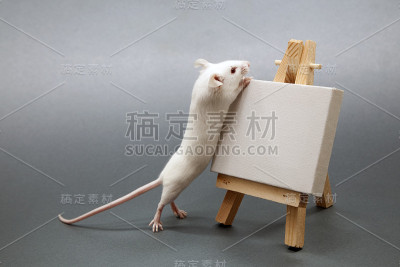 鼠标的艺术家