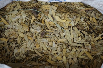 干香草番泻叶