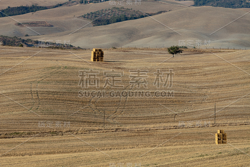 托斯卡纳的风景