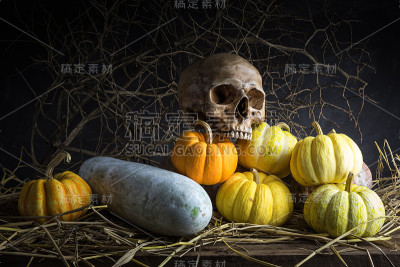 静物画南瓜