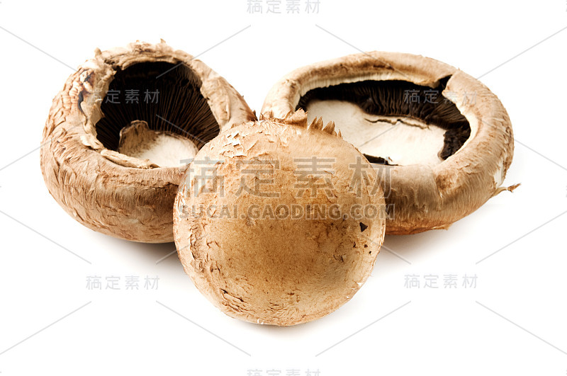 波多贝罗蘑菇