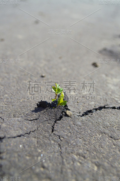 工厂满足路面。